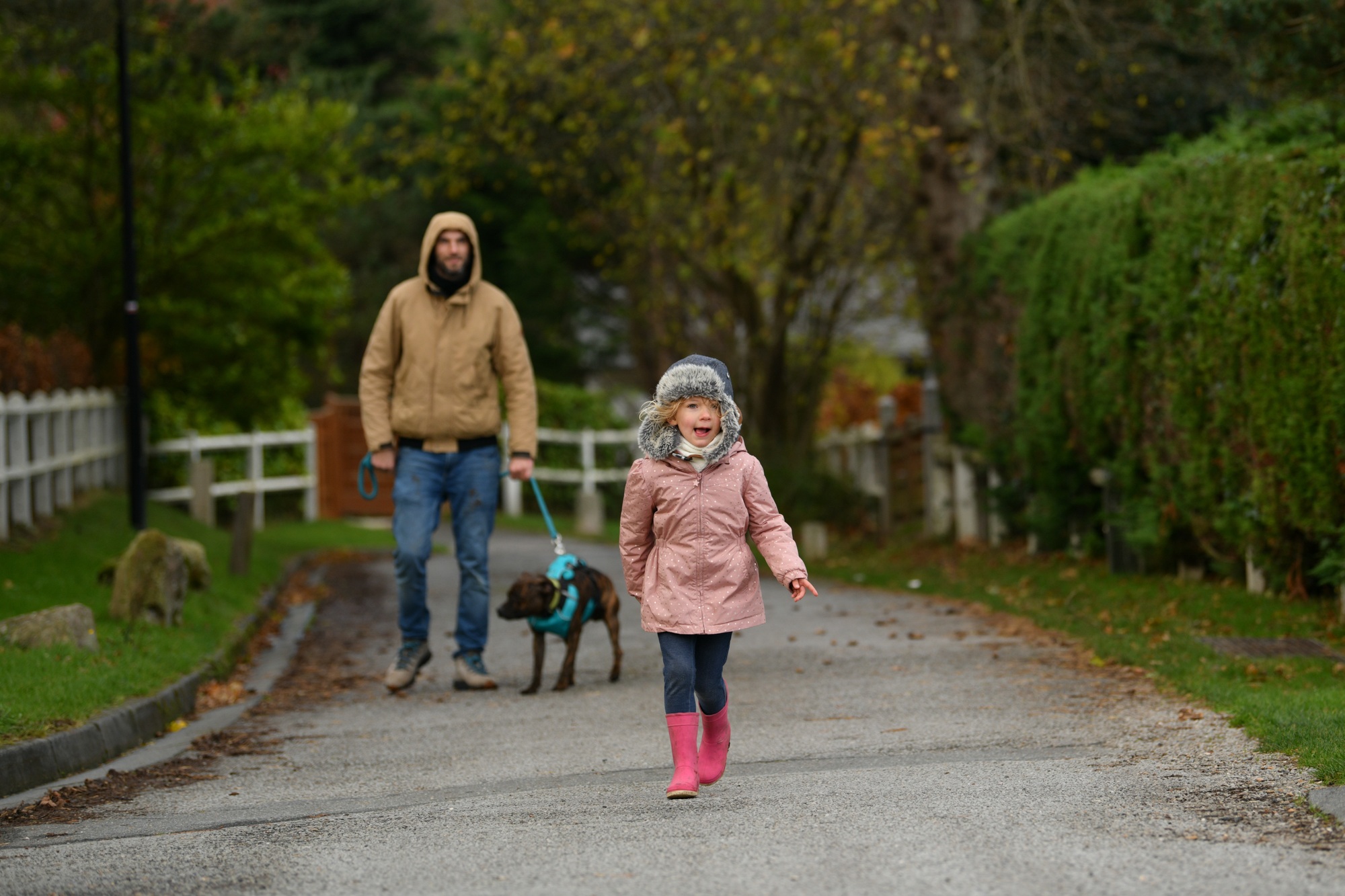 Father and daughter walking with a staffordshire terrier