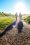 Rear view of people walking on a trail with long shadows