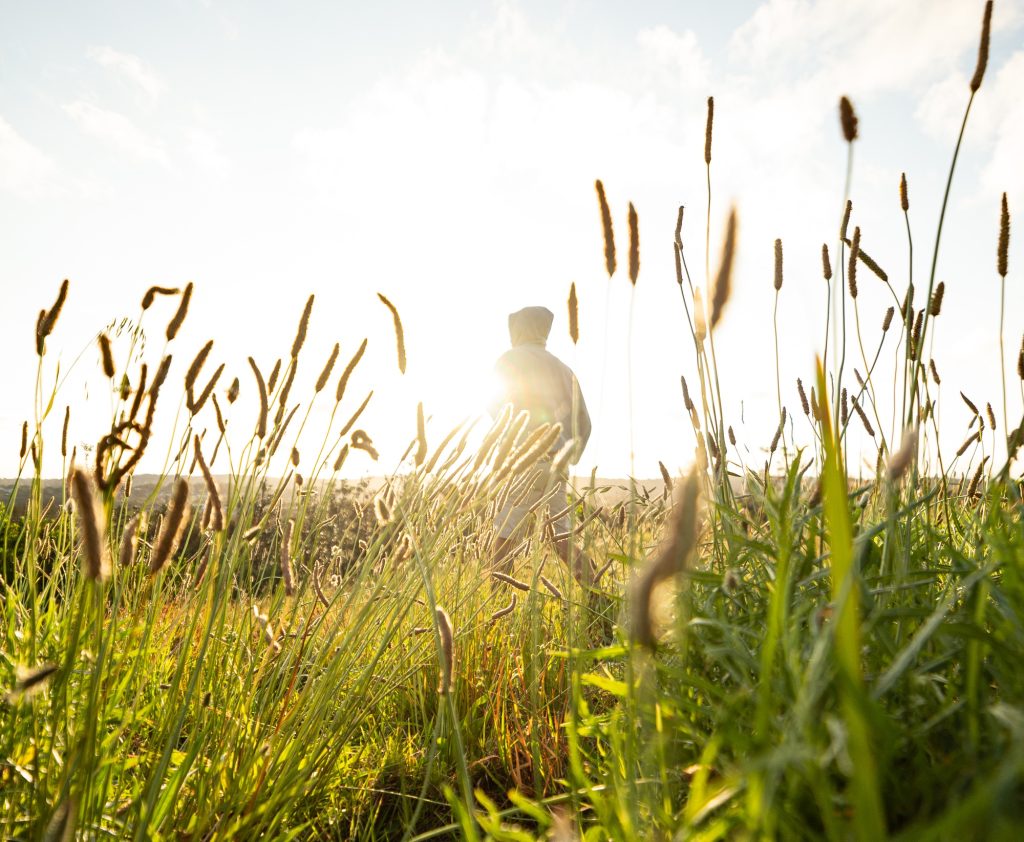 Rear View of Young Man Walking Through Tall Grass in a Sunny Day Against Sky