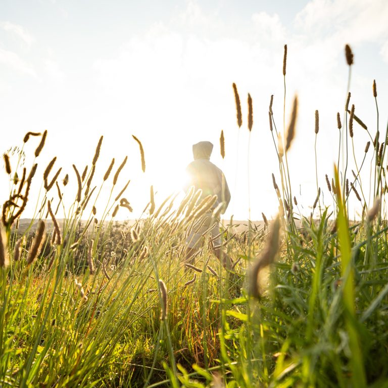 Rear View of Young Man Walking Through Tall Grass in a Sunny Day Against Sky